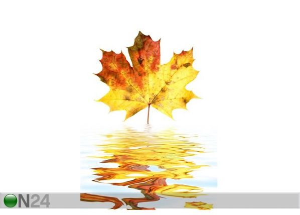 Pilt Autumn Leaf 60x90 cm