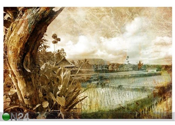 Pilt Balinese Rice Fields 75x50 cm