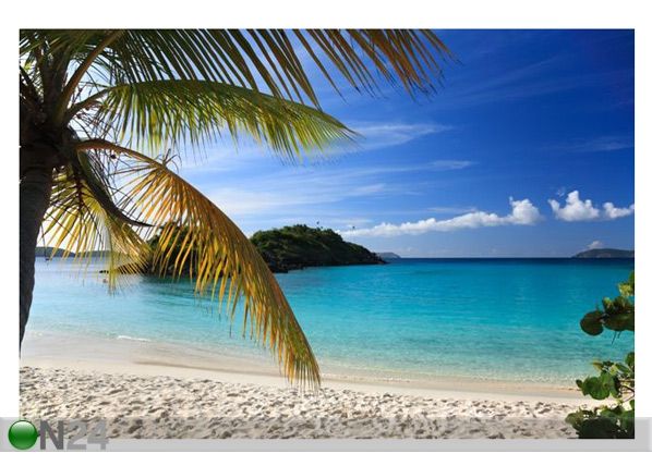 Pilt Beautiful Caribbean Island 75x50 cm