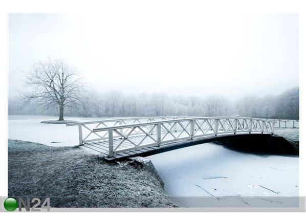 Pilt Beautiful Cold and White Winter 134x90 cm