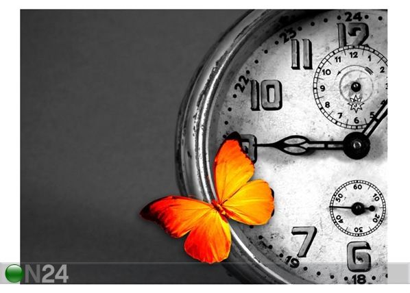 Pilt Butterfly Resting Over an Old Vintage Clock 80x60 cm