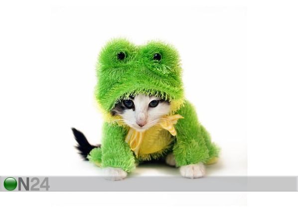 Pilt Cat in Frog Costume 90x92 cm