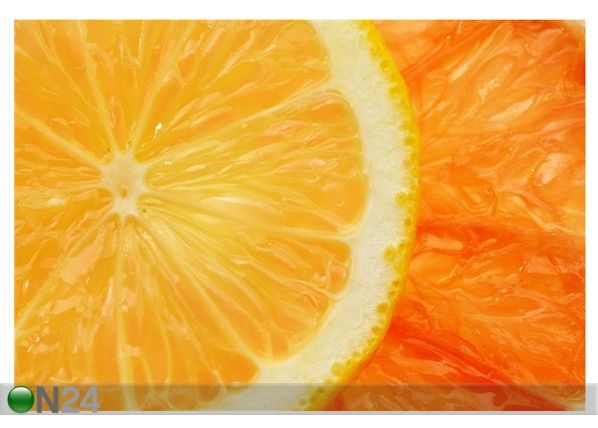Pilt Citrus Background 75x50 cm
