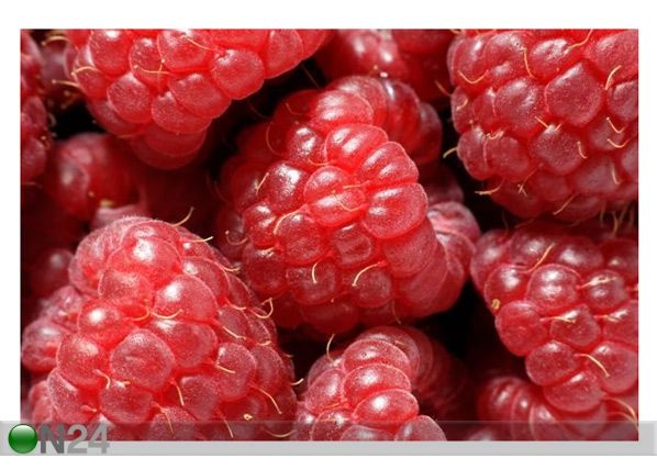 Pilt Close Up of Fresh Raspberries 180x120 cm
