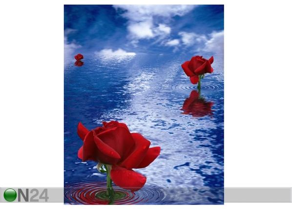 Pilt Contrasts Of The Nature 60x75 cm