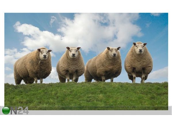Pilt Four Sheep on Top of the Hill 134x80 cm