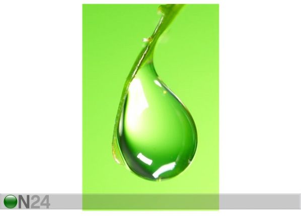 Pilt Fresh Green Shoot 70x105 cm