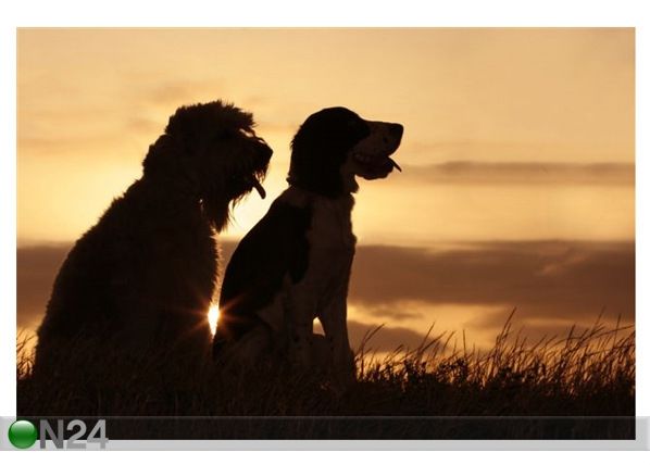 Pilt Friends At Sunset 135x90 cm