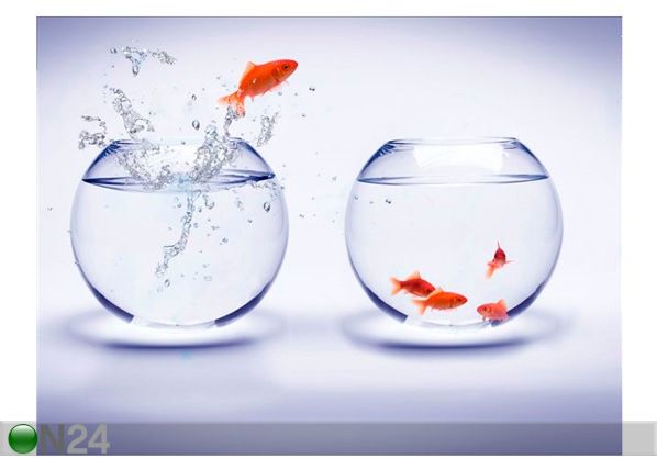 Pilt Goldfish Jump Over An Aquarium 107x80 cm