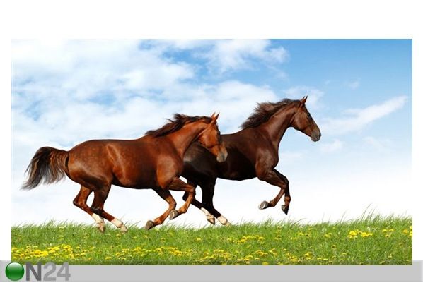Pilt Horses Gallop 124x70 cm