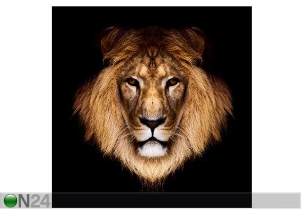 Pilt Lion 90x91 cm