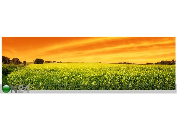 Pilt Rapsipõld 30x98cm