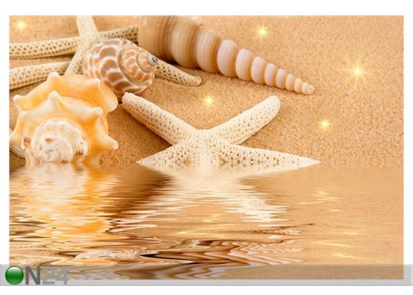 Pilt Starfish and Seashells on Golden Sand 179x120 cm