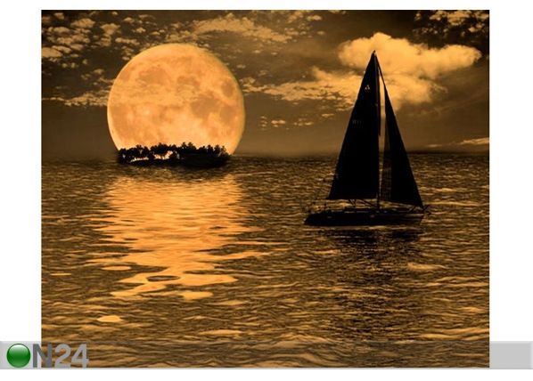 Pilt Surreal Night 75x60 cm