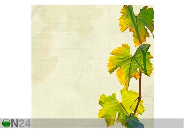 Pilt Vine Leaves Grungy 50x50 cm