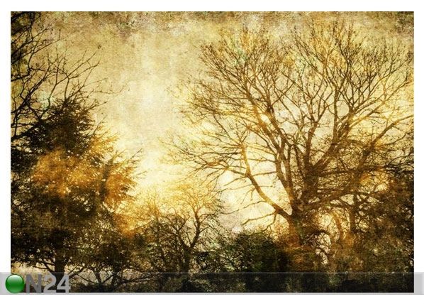 Pilt Vintage Forest 58x40 cm