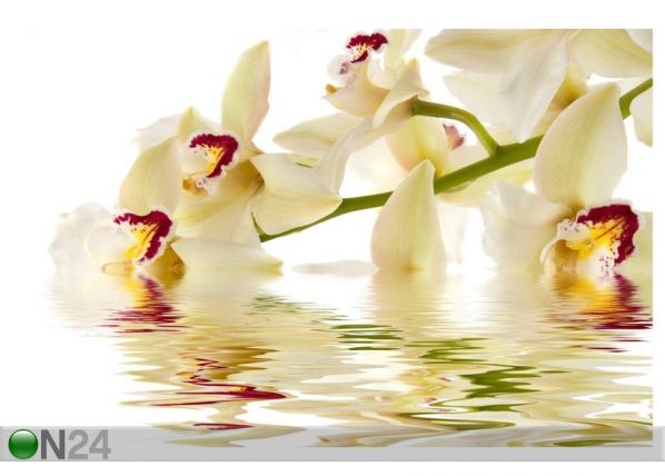 Pilt White Orchid 139x104 cm