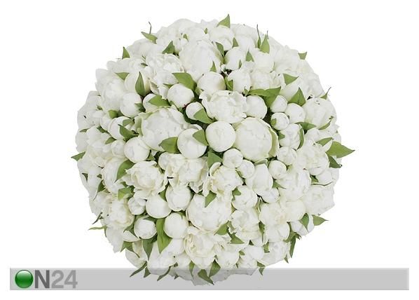 Pojengi pall Ø 25 cm