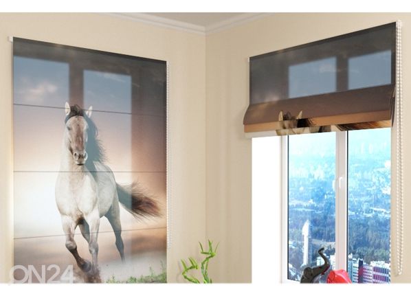 Poolläbipaistev roomakardin Horse 60x60 cm
