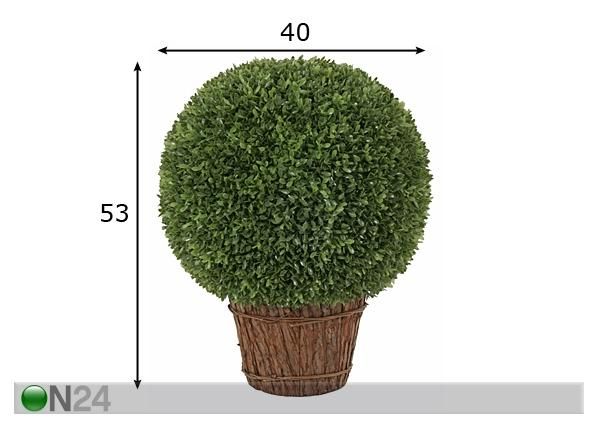 Pukspuu pall 53 cm mõõdud
