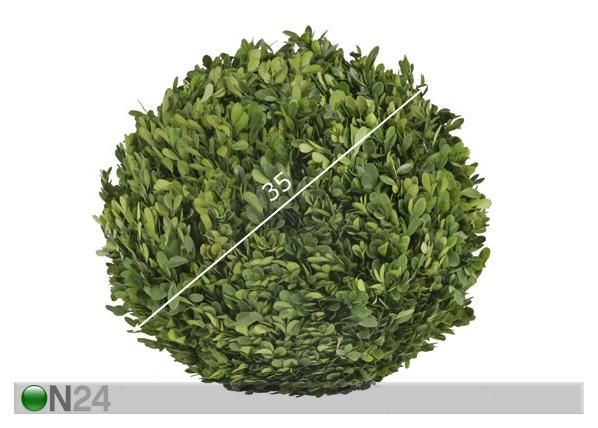 Pukspuu pall M 35cm mõõdud