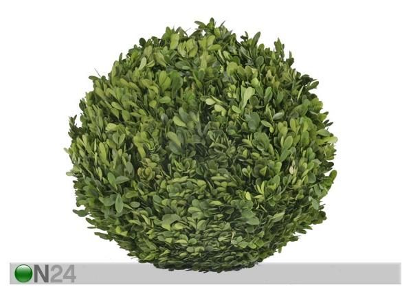 Pukspuu pall M 35cm