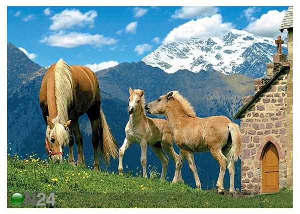Ravensburger puzzle 60x84 cm