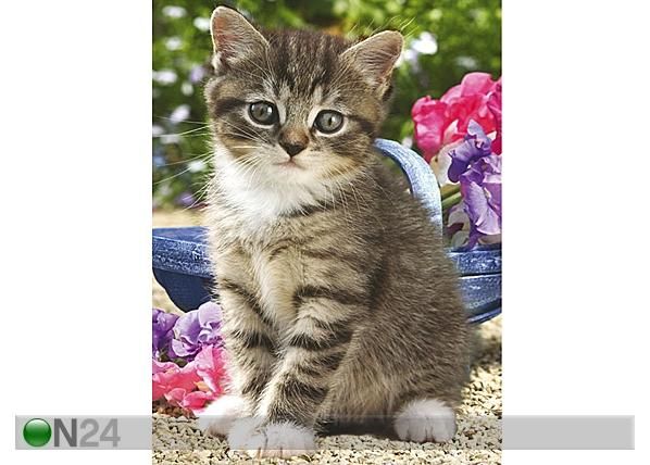 Ravensburger puzzle Kass aias 50x70 cm