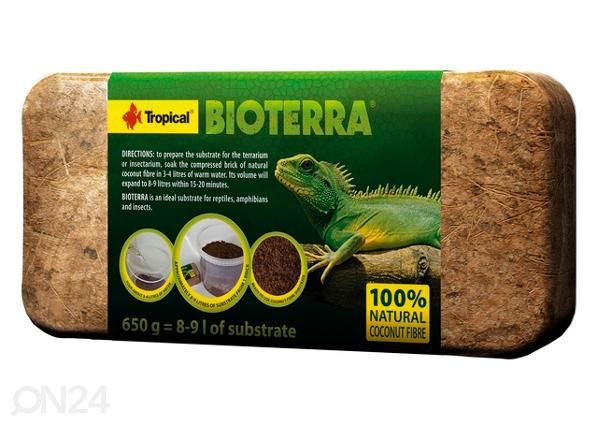 Reptiilide allapanu bioterra 650 g