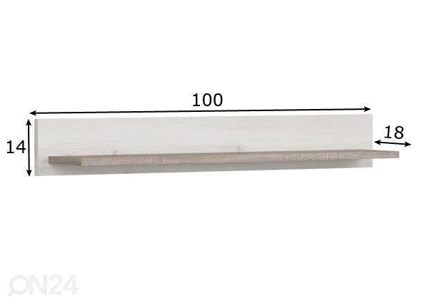 Riiul 100 cm mõõdud