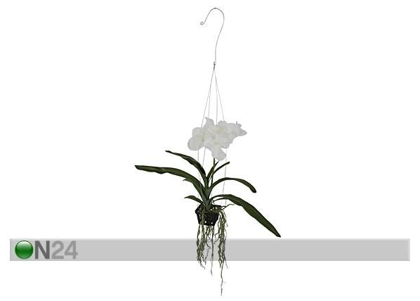 Rippuv Orhidee Vanda 46 cm