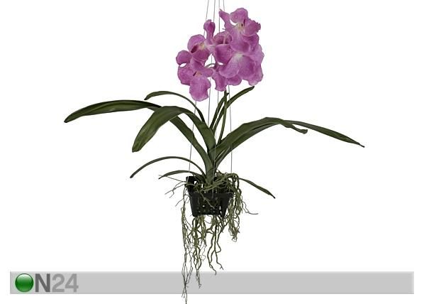 Rippuv Orhidee Vanda 46 cm