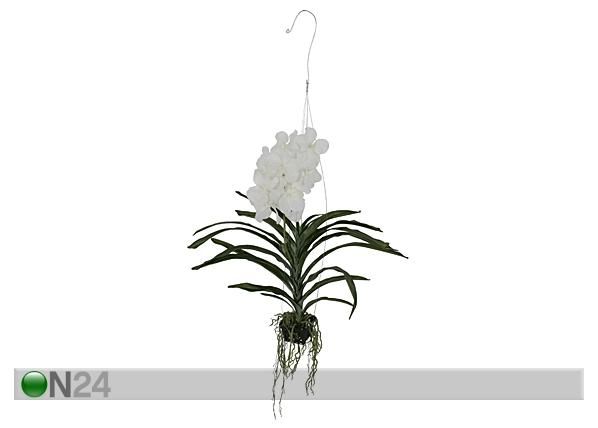 Rippuv Orhidee Vanda 70 cm
