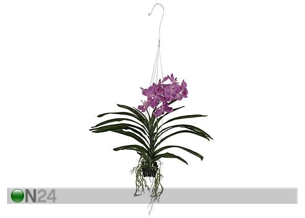Rippuv Orhidee Vanda 70 cm