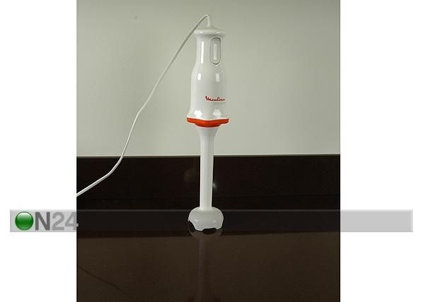 Saumikser Moulinex Accessimo