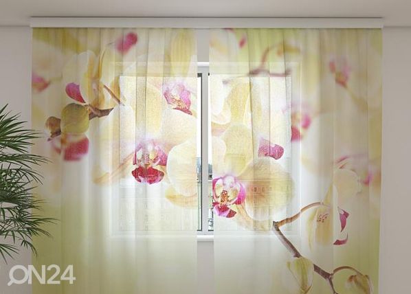 Šifoon-fotokardin Goldish orchids 240x220 cm