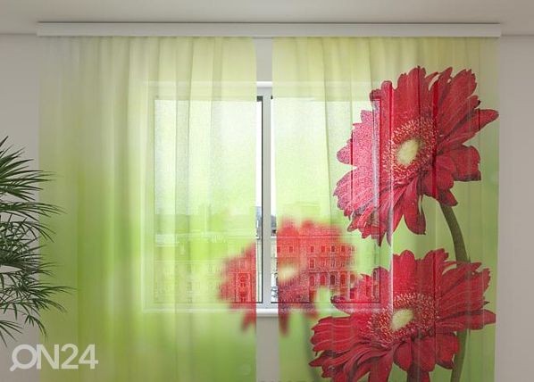 Šifoon-fotokardin Red gerberas 240x220 cm