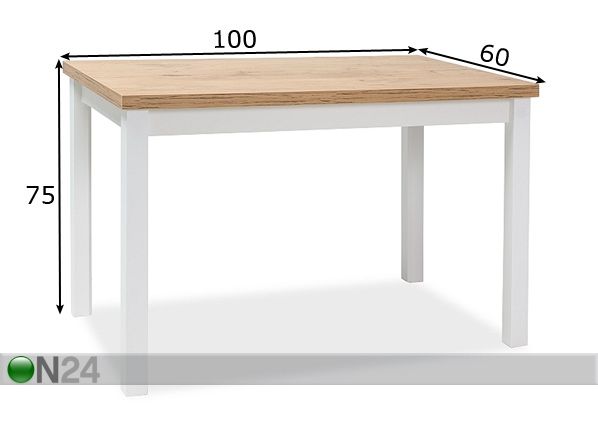 Söögilaud Robert 100x60 cm mõõdud