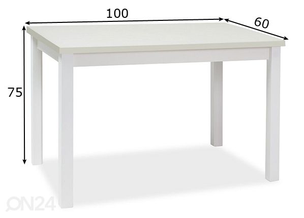 Söögilaud Robert 100x60 cm mõõdud