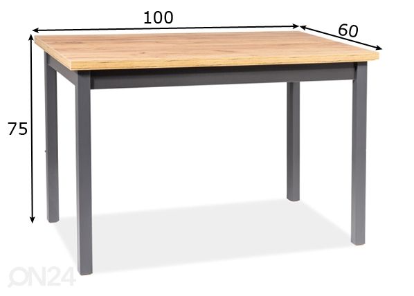 Söögilaud Robert 100x60 cm mõõdud