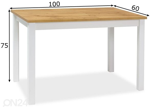 Söögilaud Robert 100x60 cm mõõdud