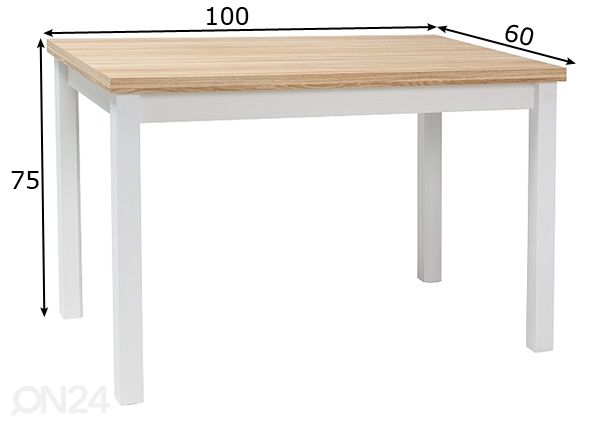 Söögilaud Robert 100x60 cm mõõdud