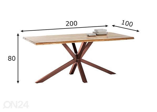 Söögilaud Tische 100x200 cm mõõdud