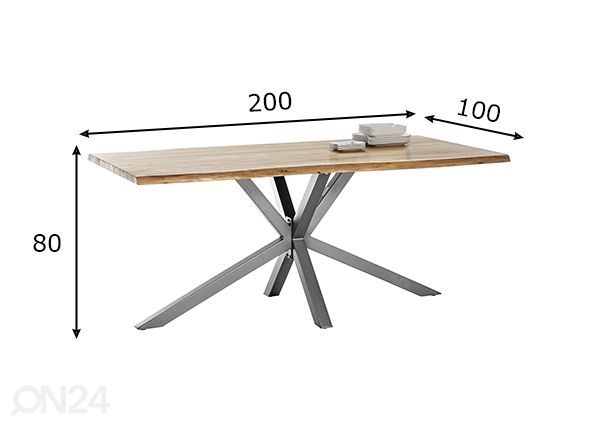 Söögilaud Tische 100x200 cm mõõdud