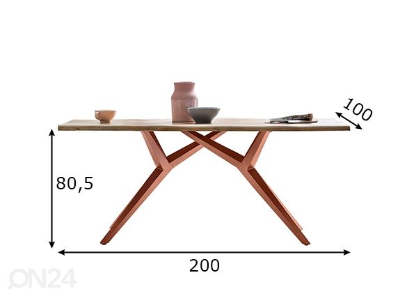Söögilaud Tische 100x200 cm mõõdud