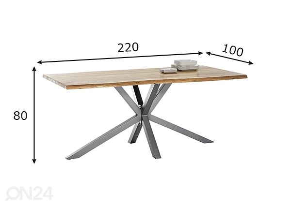 Söögilaud Tische 100x220 cm mõõdud