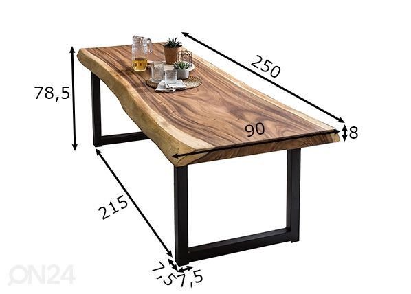Söögilaud Tische 100x250 cm mõõdud