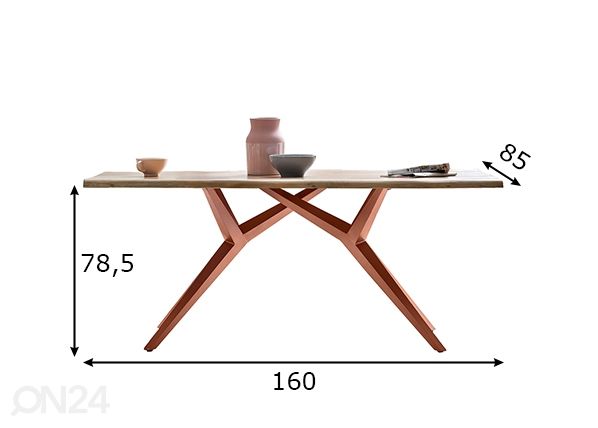 Söögilaud Tische 85x160 cm mõõdud