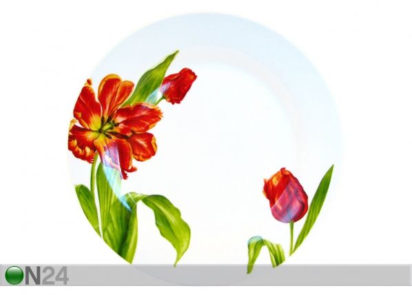 Taldrik Tulp Ø 23 cm, 6 tk