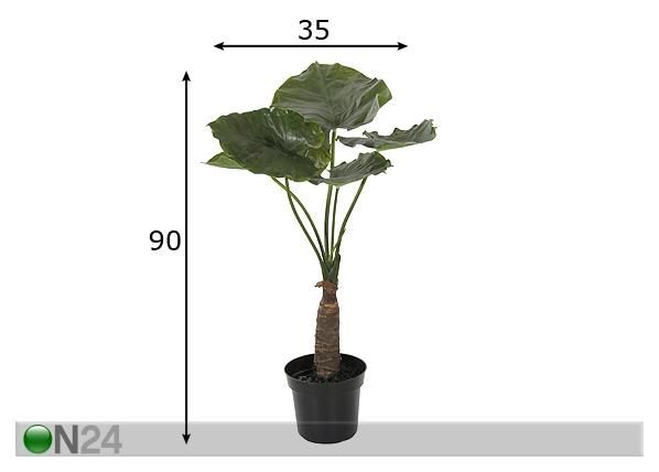 Taro 90 cm mõõdud